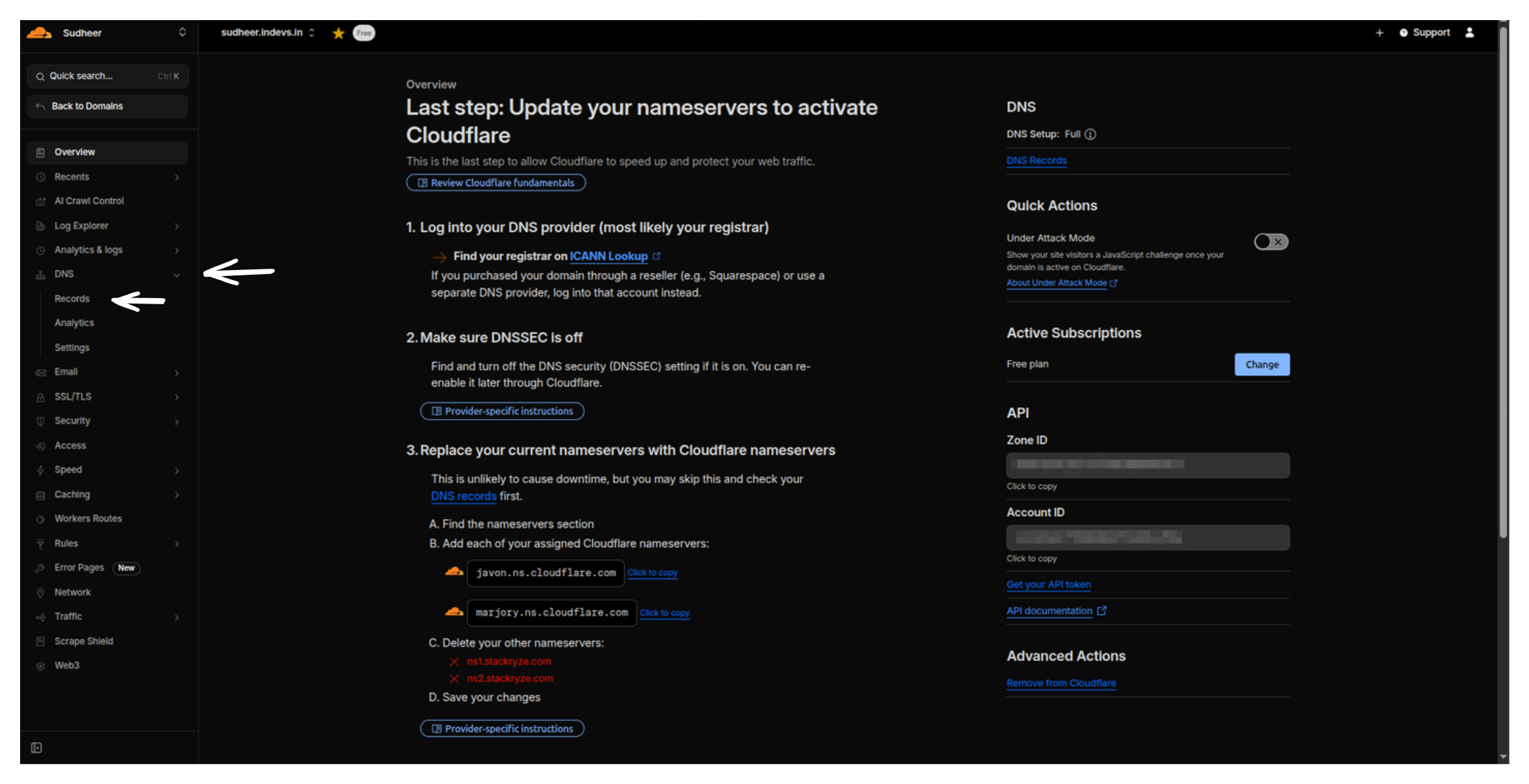 Access DNS Records